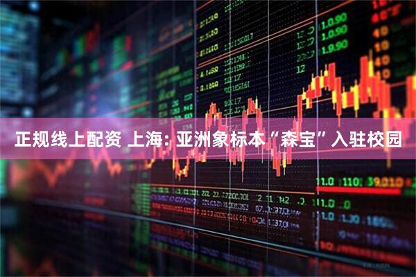 正规线上配资 上海: 亚洲象标本“森宝”入驻校园